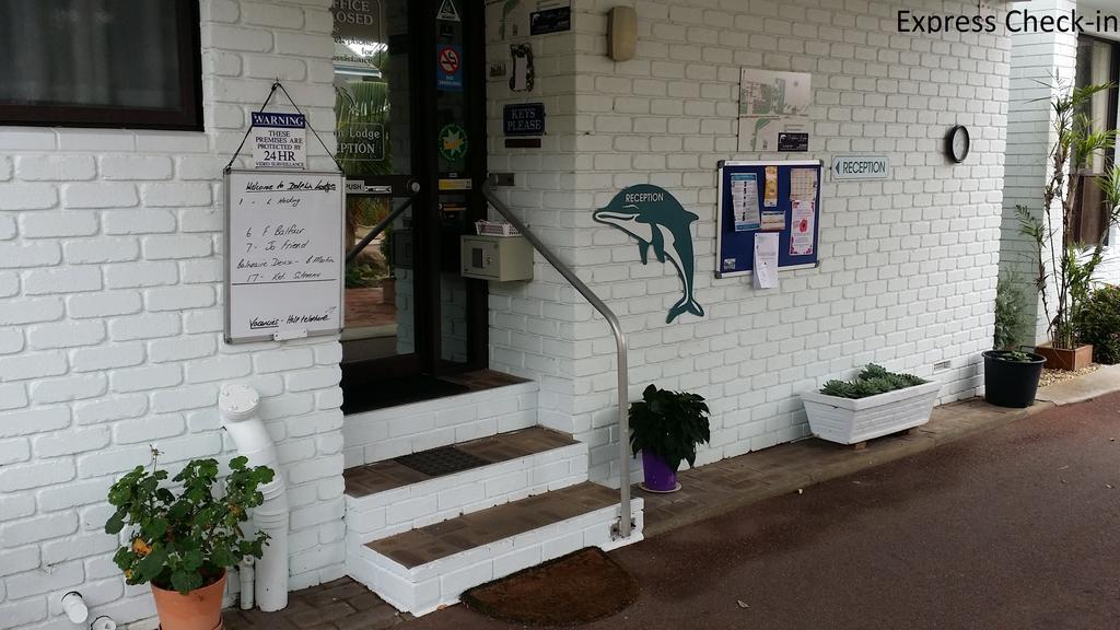 Dolphin alojamiento Albany Exterior foto
