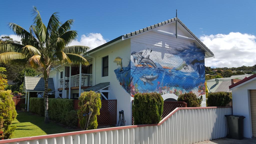 Dolphin alojamiento Albany Exterior foto